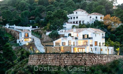 Villa moderne de style andalou à acheter dans la zone de Marbella - Benahavis 29489